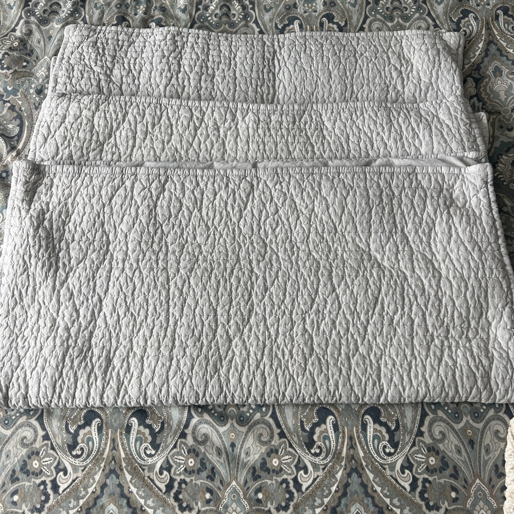 Potterybarn euro shams